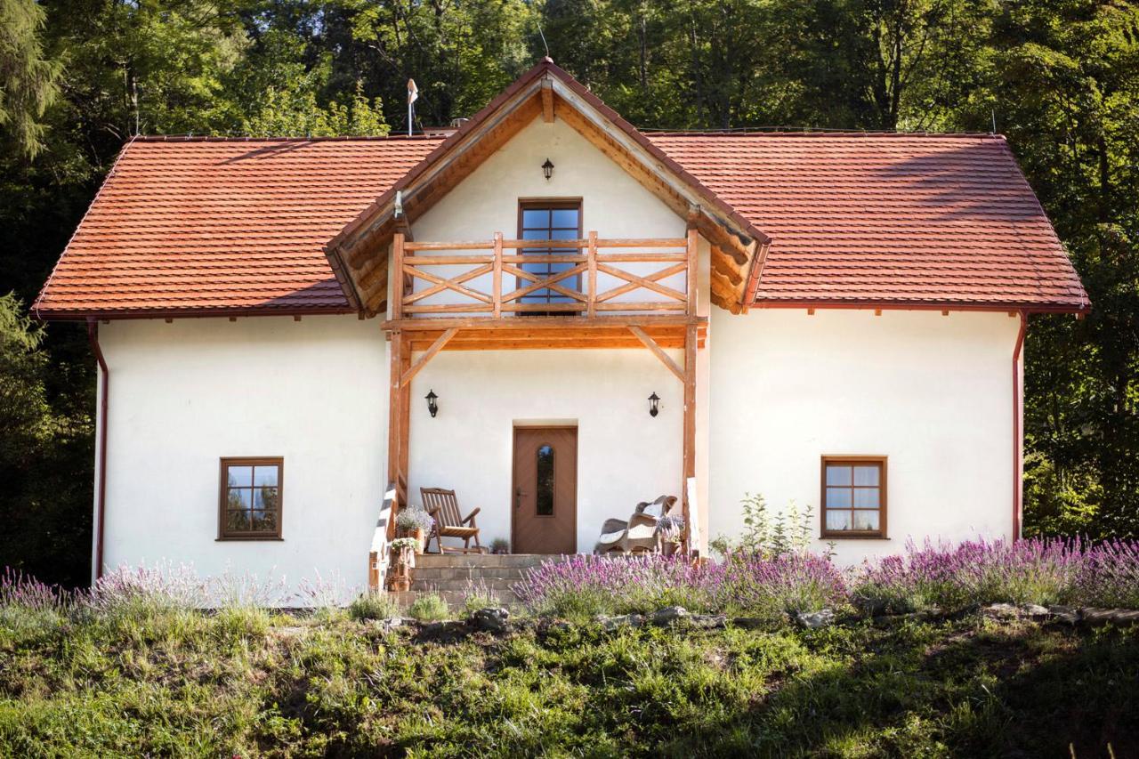 Pensjonat Pod Gora Karczmisko Konradow  Exterior foto